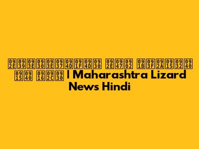 महाराष्ट्र में छिपकली की खबर | Maharashtra Lizard News Hindi