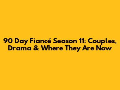 90 Day Fiancé Season 11: Couples, Drama & Where They Are Now