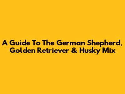 A Guide To The German Shepherd, Golden Retriever & Husky Mix