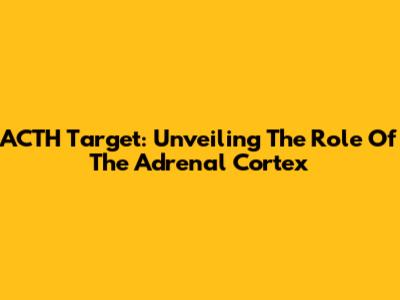 ACTH Target: Unveiling The Role Of The Adrenal Cortex