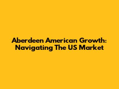 Aberdeen American Growth: Navigating The US Market