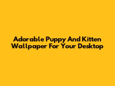 Adorable Puppy And Kitten Wallpaper For Your Desktop