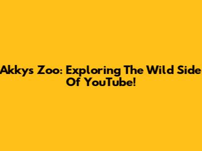 Akky's Zoo: Exploring The Wild Side Of YouTube!