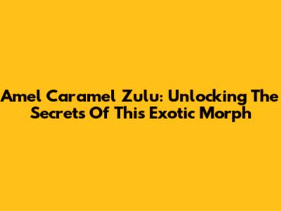 Amel Caramel Zulu: Unlocking The Secrets Of This Exotic Morph