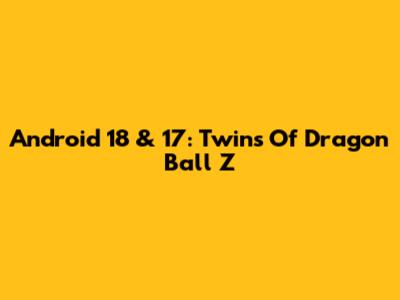 Android 18 & 17: Twins Of Dragon Ball Z