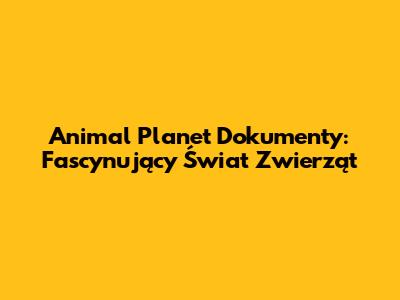 Animal Planet Dokumenty: Fascynujący Świat Zwierząt
