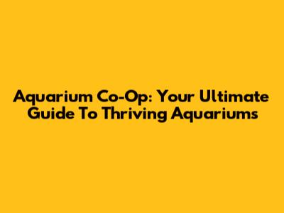 Aquarium Co-Op: Your Ultimate Guide To Thriving Aquariums