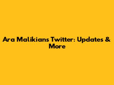 Ara Malikian's Twitter: Updates & More