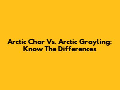 Arctic Char Vs. Arctic Grayling: Know The Differences