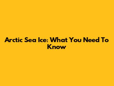 Arctic Sea Ice: What You Need To Know