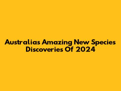 Australia's Amazing New Species Discoveries Of 2024