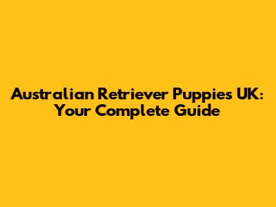 Australian Retriever Puppies UK: Your Complete Guide