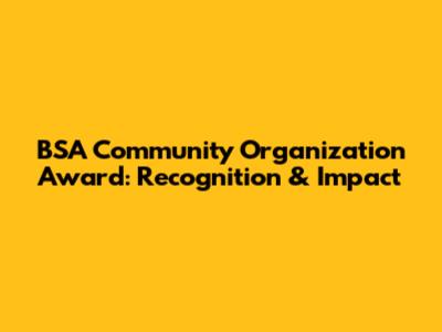 BSA Community Organization Award: Recognition & Impact