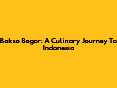 Bakso Bogor: A Culinary Journey To Indonesia