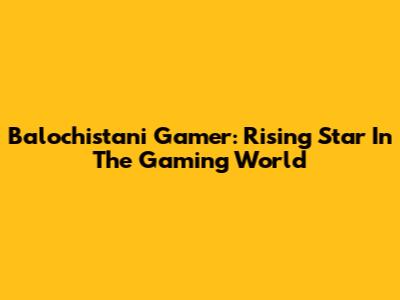 Balochistani Gamer: Rising Star In The Gaming World