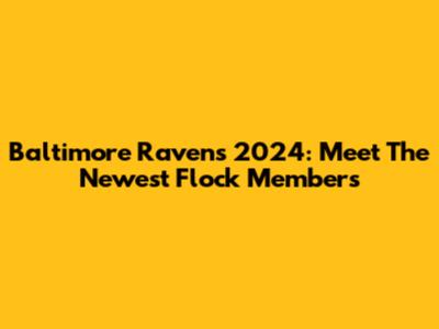 Baltimore Ravens 2024: Meet The Newest Flock Members