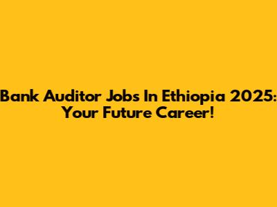 Bank Auditor Jobs In Ethiopia 2025: Your Future Career!