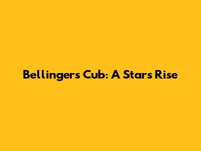 Bellinger's Cub: A Star's Rise