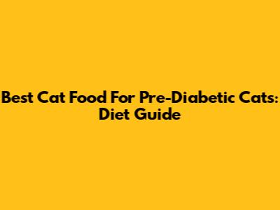Best Cat Food For Pre-Diabetic Cats: Diet Guide