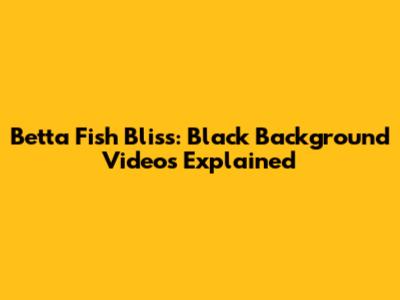 Betta Fish Bliss: Black Background Videos Explained
