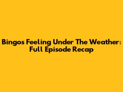 Bingo's Feeling Under The Weather: Full Episode Recap