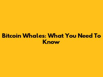 Bitcoin Whales: What You Need To Know