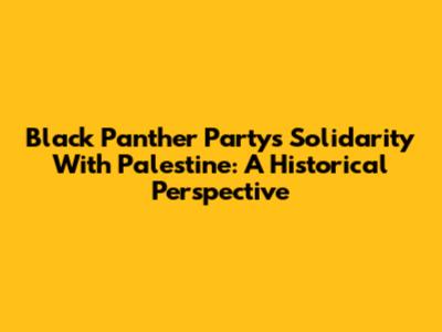 Black Panther Party's Solidarity With Palestine: A Historical Perspective