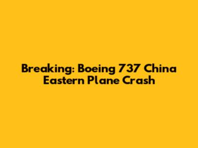 Breaking: Boeing 737 China Eastern Plane Crash