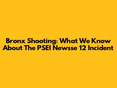 Bronx Shooting: What We Know About The PSEI Newsse 12 Incident