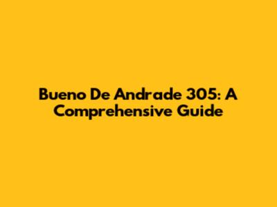 Bueno De Andrade 305: A Comprehensive Guide