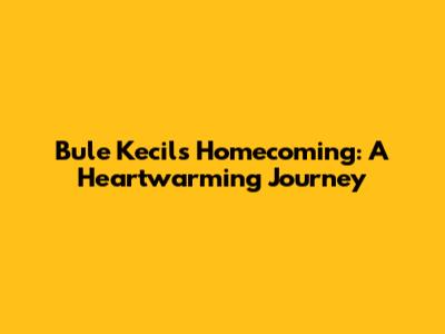 Bule Kecil's Homecoming: A Heartwarming Journey