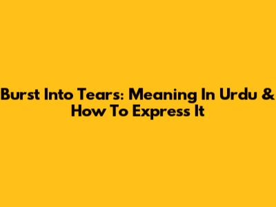 Burst Into Tears: Meaning In Urdu & How To Express It
