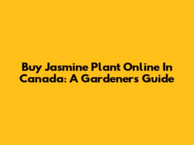 Buy Jasmine Plant Online In Canada: A Gardener's Guide