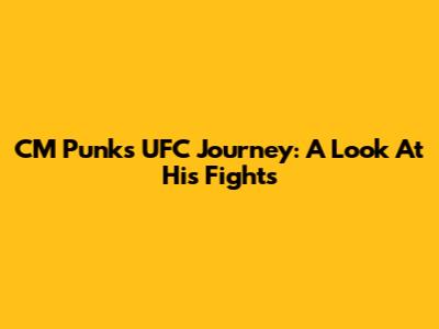 CM Punk's UFC Journey: A Look At His Fights