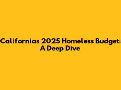 California's 2025 Homeless Budget: A Deep Dive