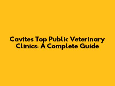 Cavite's Top Public Veterinary Clinics: A Complete Guide