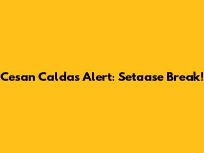 Cesan Caldas Alert: Setaase Break!