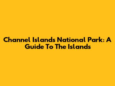 Channel Islands National Park: A Guide To The Islands