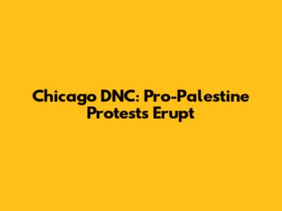 Chicago DNC: Pro-Palestine Protests Erupt
