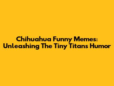 Chihuahua Funny Memes: Unleashing The Tiny Titan's Humor