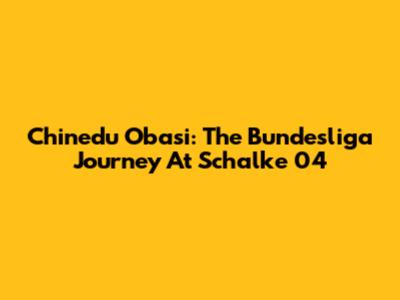 Chinedu Obasi: The Bundesliga Journey At Schalke 04
