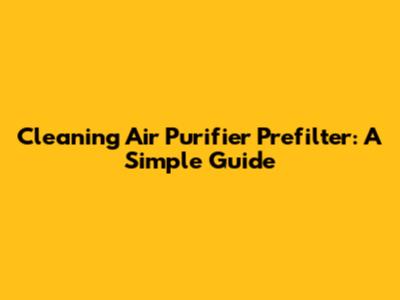 Cleaning Air Purifier Prefilter: A Simple Guide