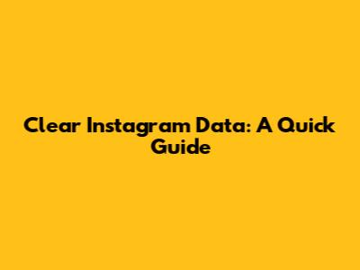Clear Instagram Data: A Quick Guide