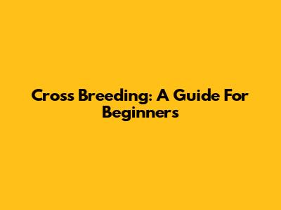 Cross Breeding: A Guide For Beginners