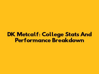 DK Metcalf: College Stats And Performance Breakdown