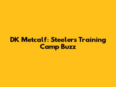 DK Metcalf: Steelers Training Camp Buzz