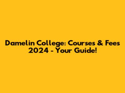 Damelin College: Courses & Fees 2024 - Your Guide!