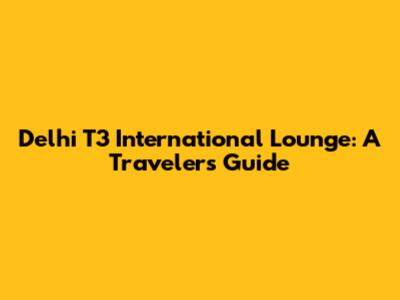 Delhi T3 International Lounge: A Traveler's Guide
