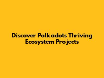 Discover Polkadot's Thriving Ecosystem Projects