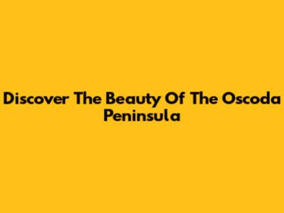 Discover The Beauty Of The Oscoda Peninsula